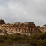 IMG_1575