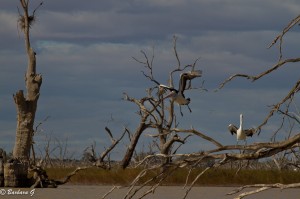 IMG_2064
