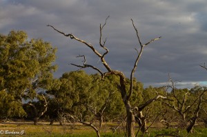 IMG_2138