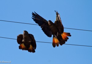 IMG_2281
