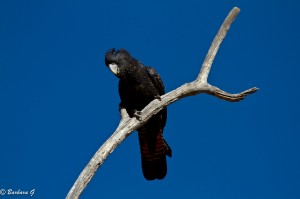 IMG_2315