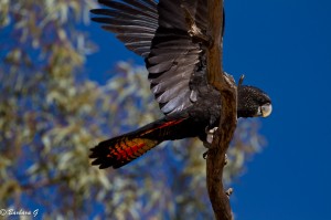 IMG_2322