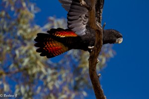 IMG_2323