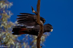 IMG_2324