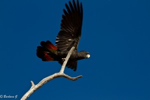 IMG_2357