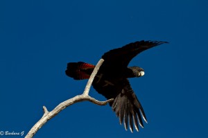 IMG_2358