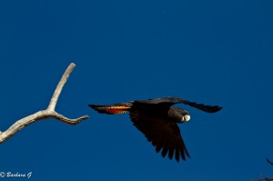 IMG_2360