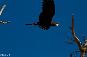 IMG_2361