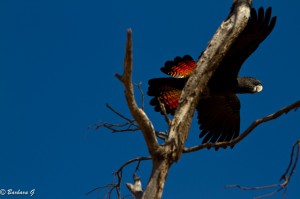 IMG_2364