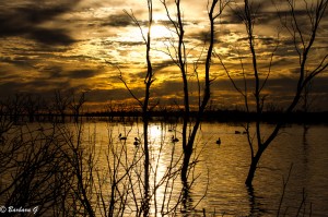 IMG_2513