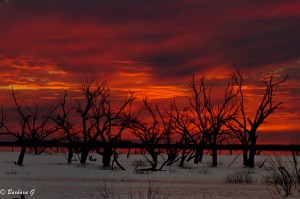 IMG_2523