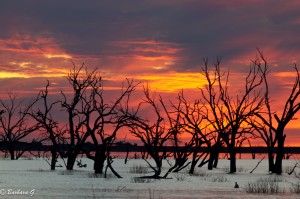 IMG_2528