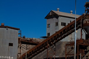 IMG_2549