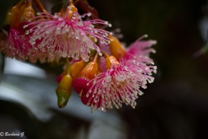 IMG_2580