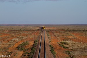 Freight tram