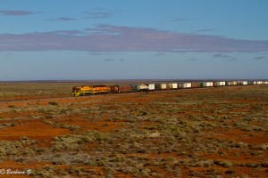 Freight tram
