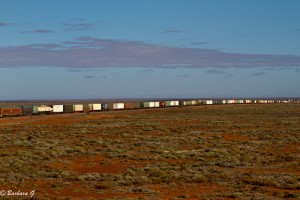 Freight tram