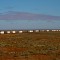 Freight tram