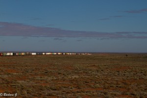 Freight tram