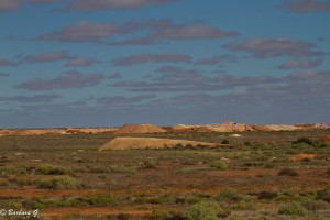 IMG_2702
