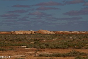 IMG_2706