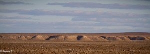 IMG_2728