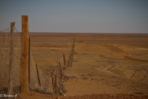 IMG_2739