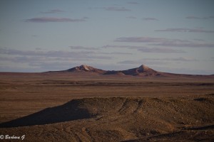 IMG_2744