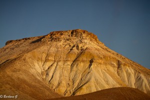 IMG_2751