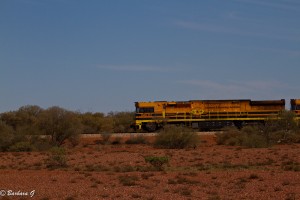 IMG_2816