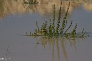 IMG_2838