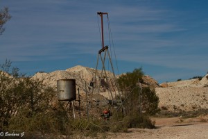IMG_2849