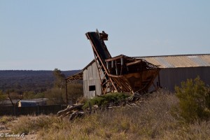 IMG_2855