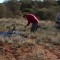 plane crash in Mintabie