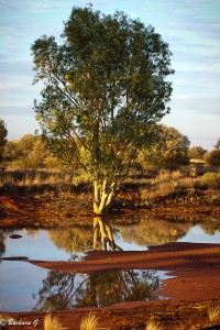 Marla camping area