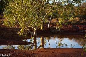 Marla camping area