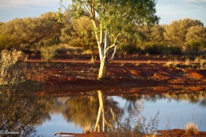 Marla camping area