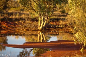 Marla camping area
