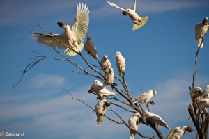 IMG_3005