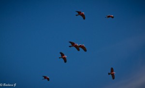 IMG_3024