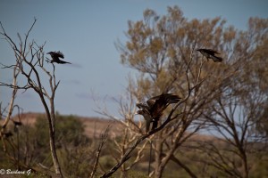 IMG_3060