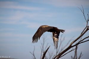 IMG_3082