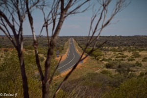 The road from the Mt Conner lookout