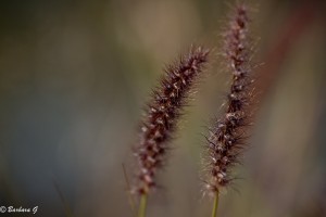 IMG_3139
