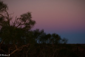 IMG_3190