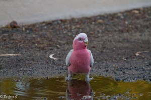 IMG_3542