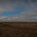 Just outside of Hay