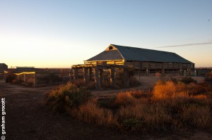 IMG_4816