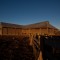 old wool shed