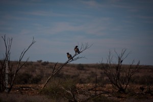 IMG_5391